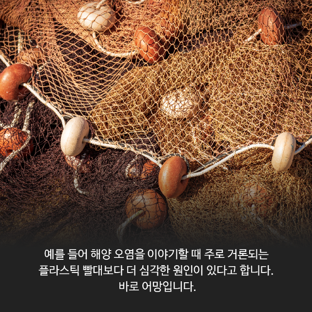 카드뉴스-책01-02.png