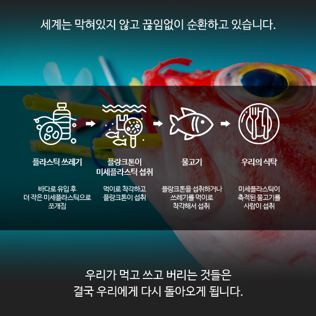 카드뉴스-책04-05.png