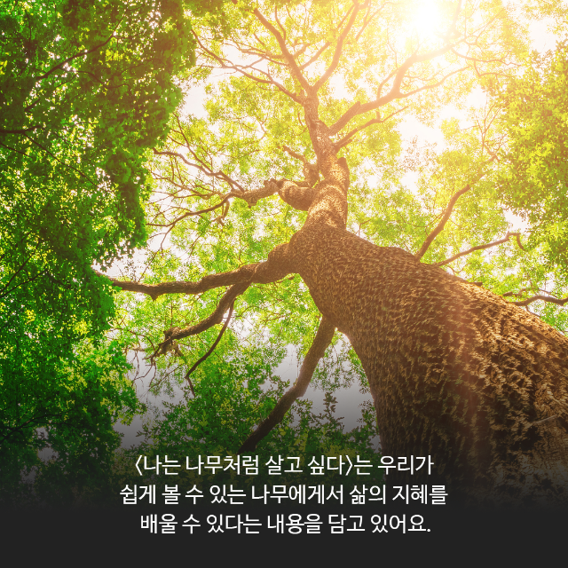 카드뉴스-책03-02.png