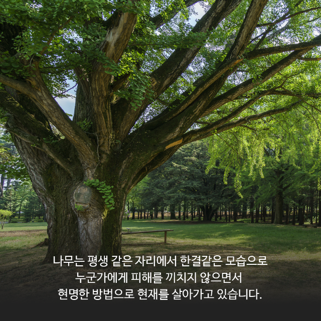 카드뉴스-책03-05.png