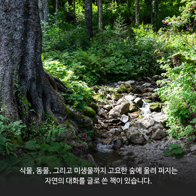 카드뉴스-책07-01.png