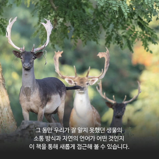 카드뉴스-책07-05.png