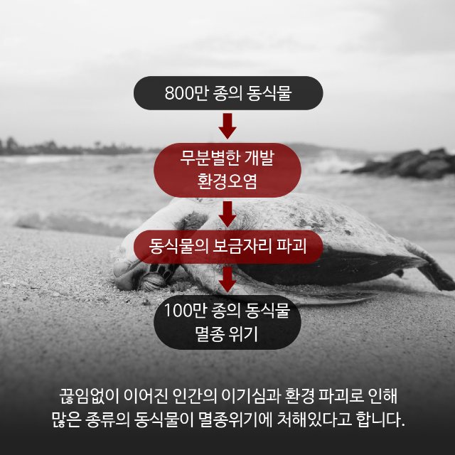 카드뉴스-책05-01.png