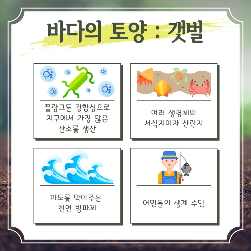 대지 4.jpg