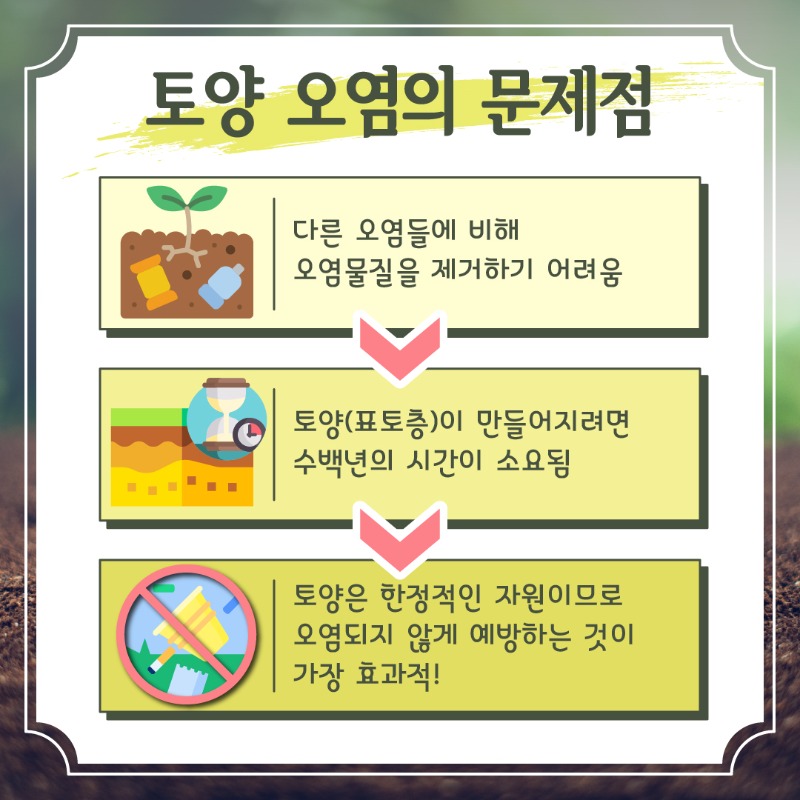 대지 6.jpg