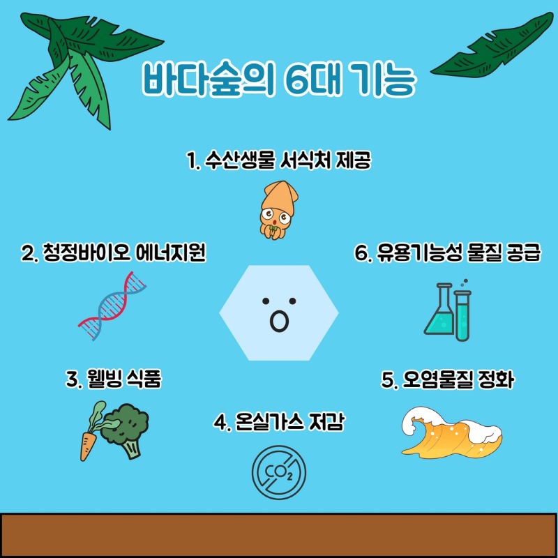 제목을 입력하세요 7.jpg