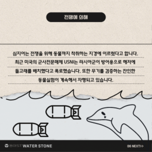 KakaoTalk_20241105_084451439.gif