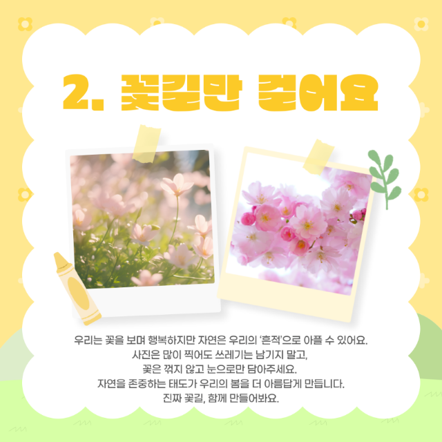 봄3.png