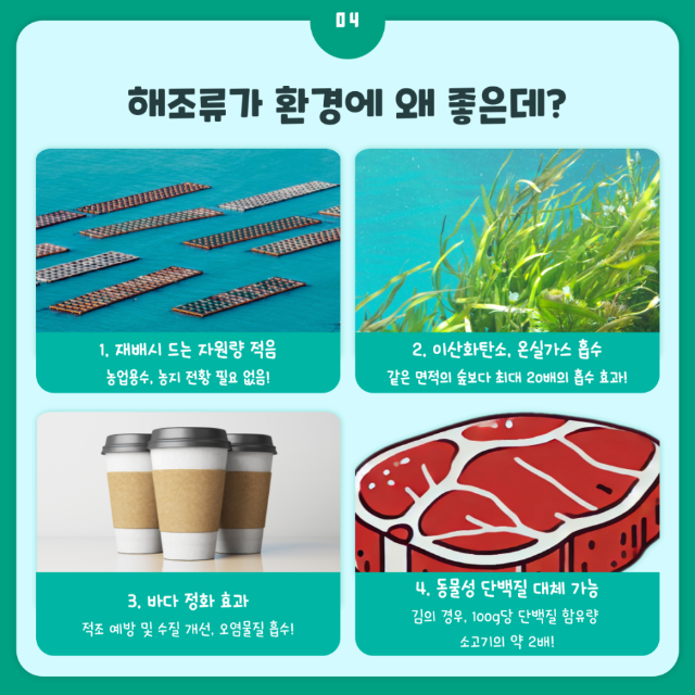 미역5.png