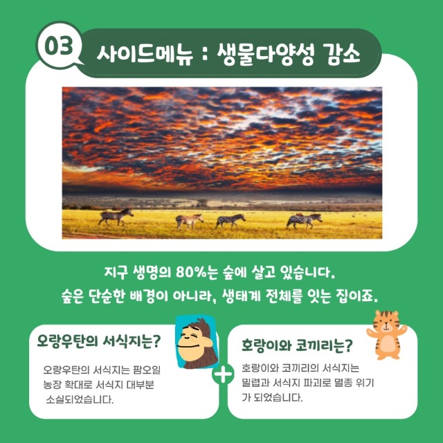 오염4.jpg