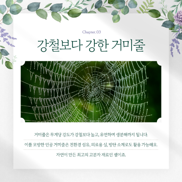 모방5.png