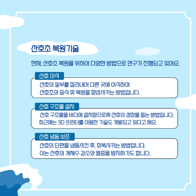 산호초5.png