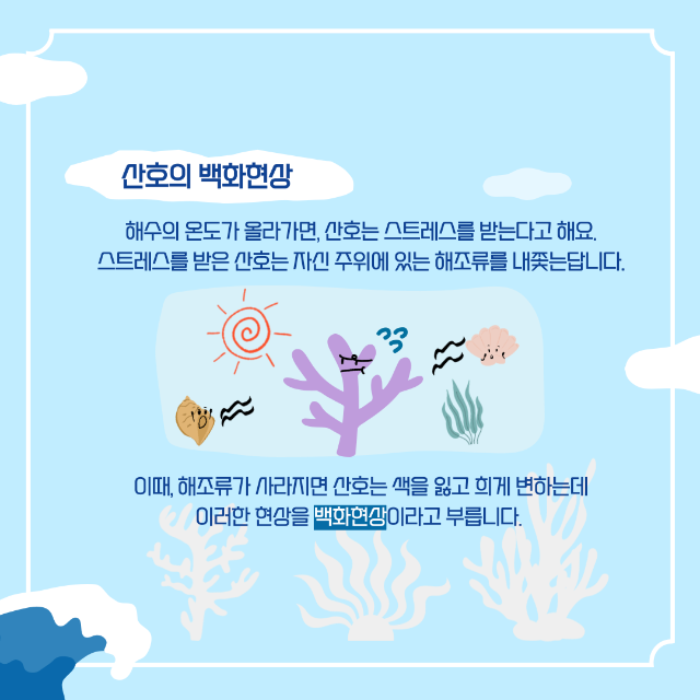 산호초3.png