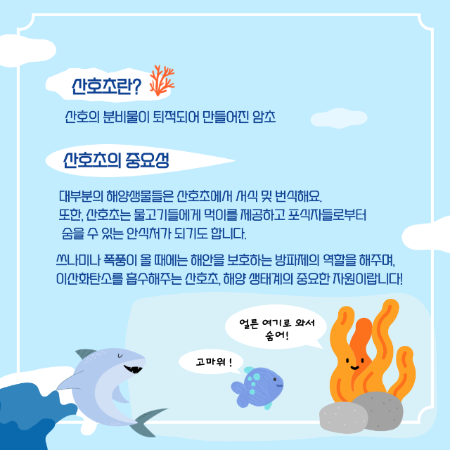 산호초2.png