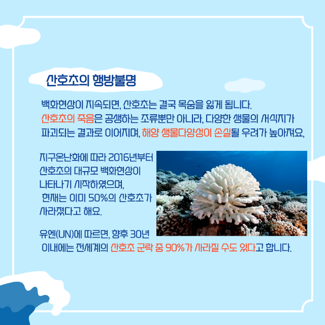 산호초4.png