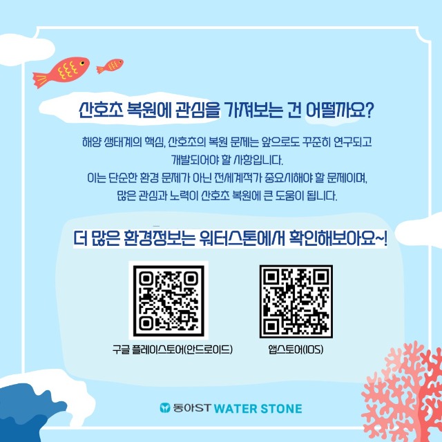 산호초6.jpg