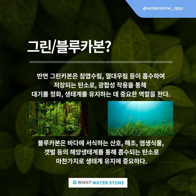 「반출」블랙카본6.jpg