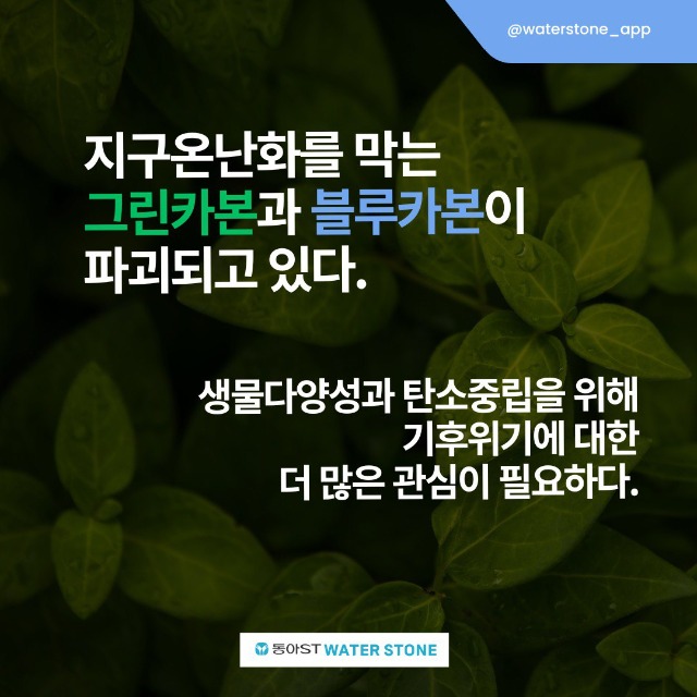 「반출」블랙카본7.jpg