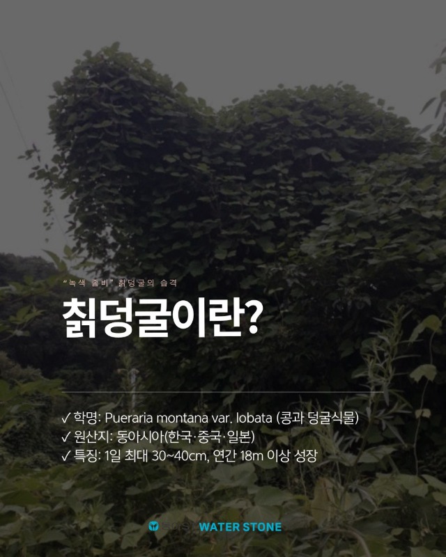 「반출」2.jpg