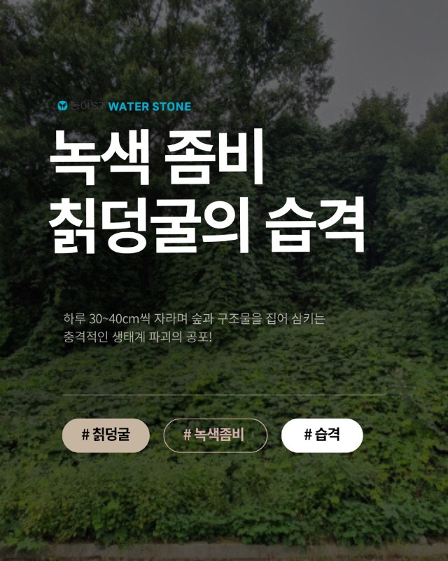 「반출」1.jpg